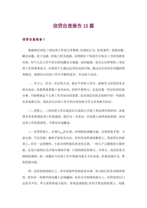 信贷自查报告15篇
