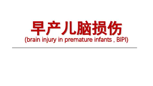 早产儿脑损伤