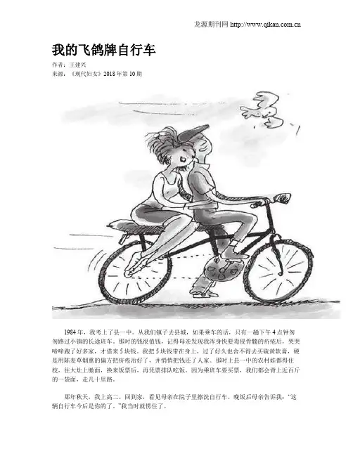 我的飞鸽牌自行车