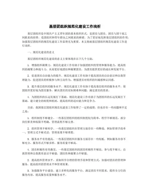 基层团组织规范化建设工作浅析