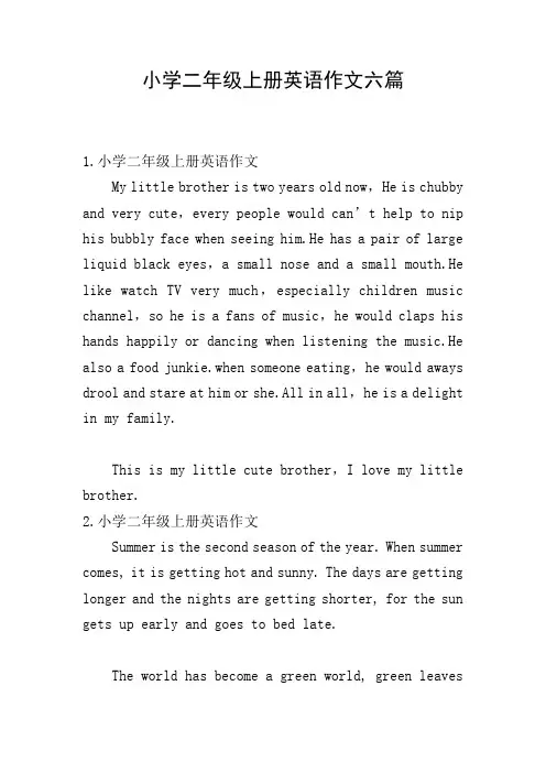 小学二年级上册英语作文六篇