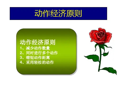 动作经济原则