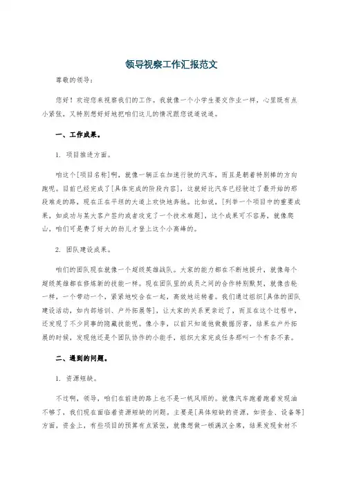 领导视察工作汇报范文