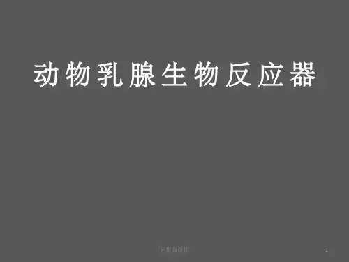 乳腺生物反应器ppt课件