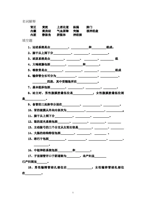 《人体解剖及组织胚胎学》复习重点