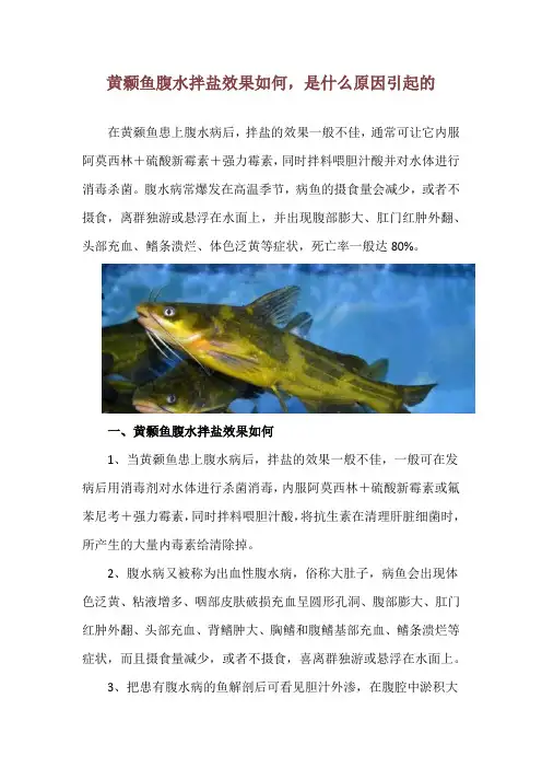 黄颡鱼腹水拌盐效果如何,是什么原因引起的