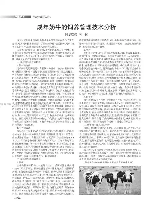 成年奶牛的饲养管理技术分析