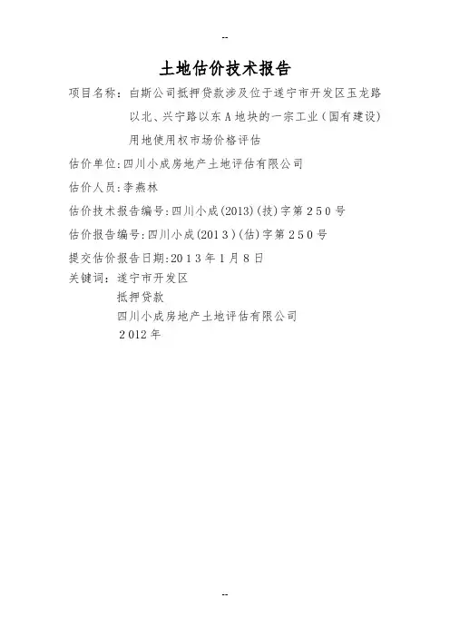 土地估价技术报告