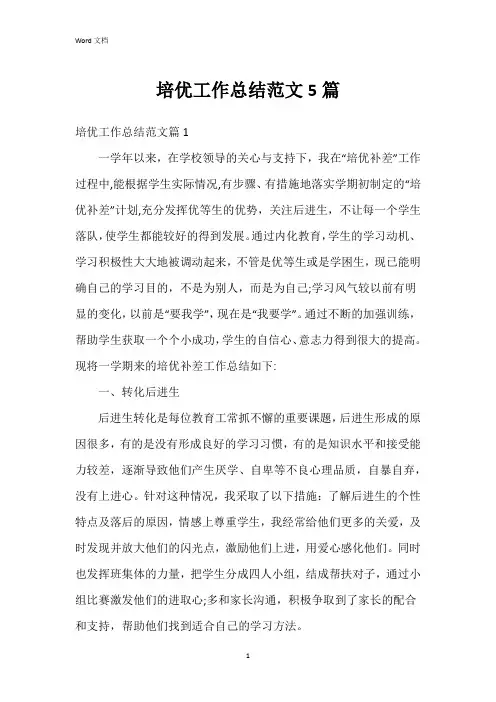 培优工作总结范文5篇