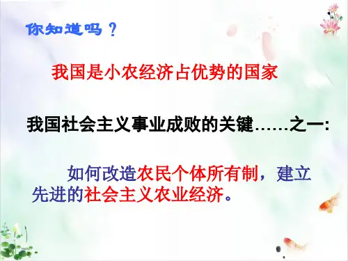 《三大改造》精品ppt课件