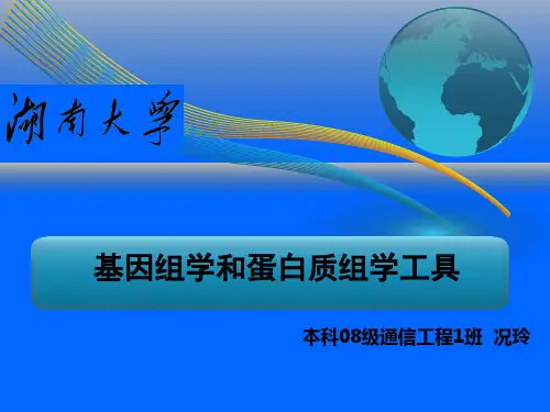 基因组学和蛋白质组学工具 ppt课件