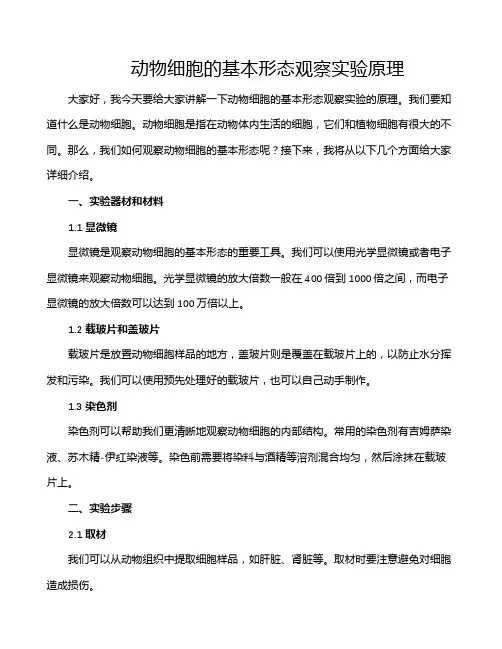 动物细胞的基本形态观察实验原理