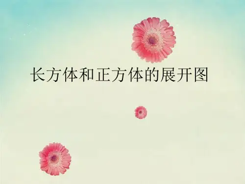 长方体正方体展开图和练习