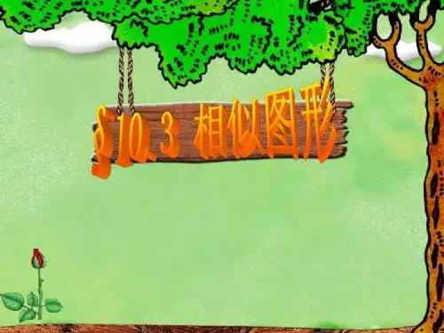 苏教版八下10.3相似图形(公开课)