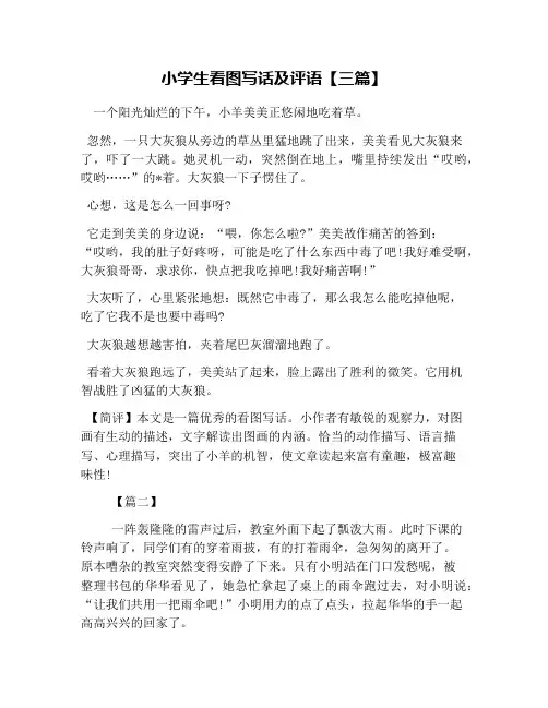 小学生看图写话及评语【三篇】