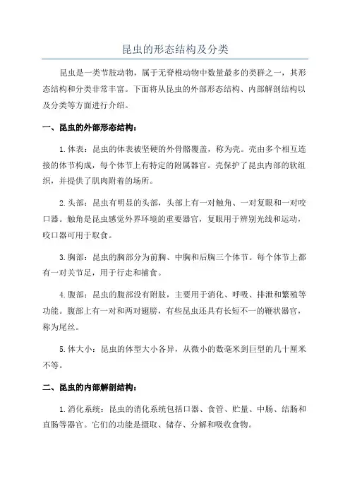 昆虫的形态结构及分类