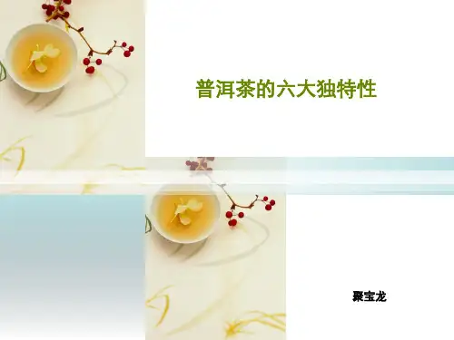 普洱茶特点