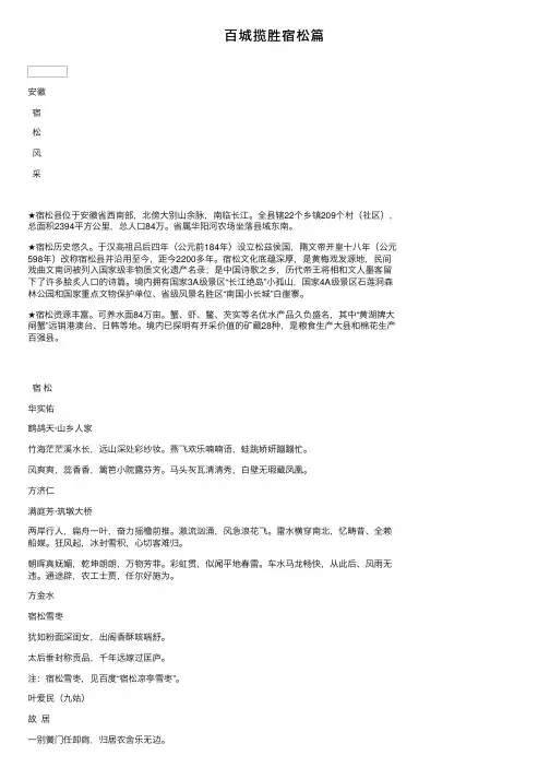 百城揽胜宿松篇