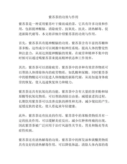 紫苏茶的功效与作用