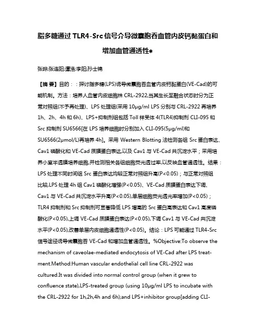 脂多糖通过TLR4-Src信号介导微囊胞吞血管内皮钙黏蛋白和增加血管通透性