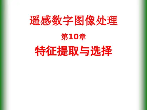 第10章_特征提取与选择