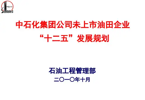 中石化石油工程“十二五”规划(201001015)