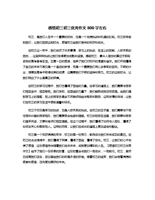 感悟初三初三优秀作文800字左右