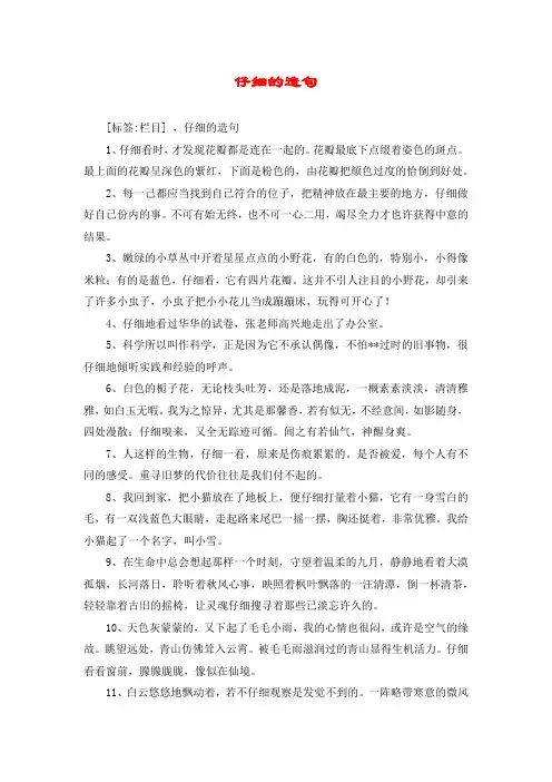 仔细的造句