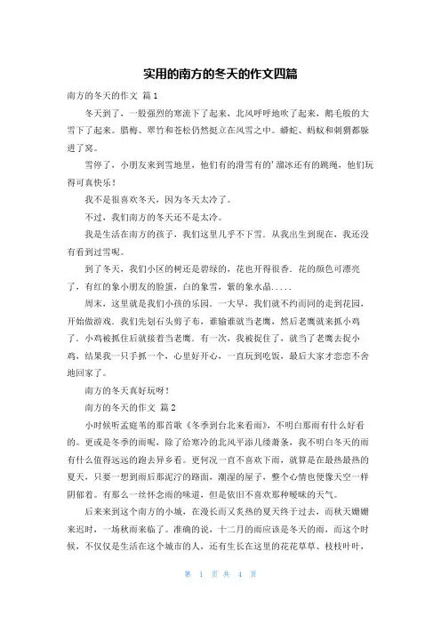 实用的南方的冬天的作文四篇