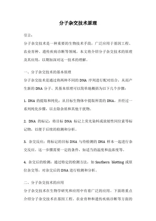 分子杂交技术原理
