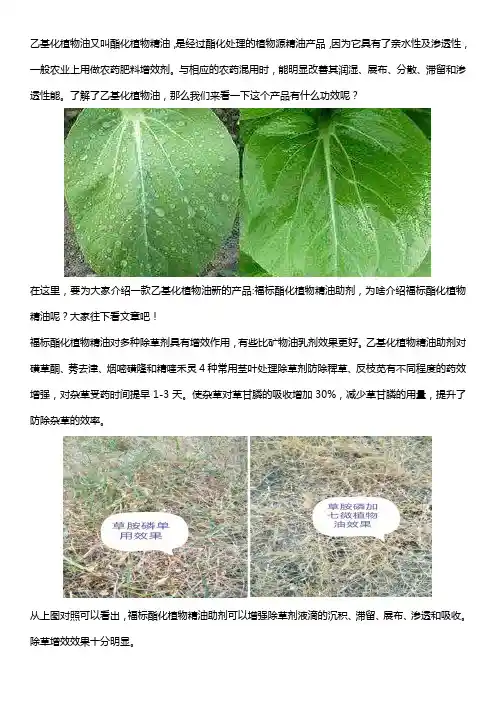 乙基化植物油有什么功效？