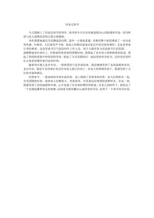 回家过春节