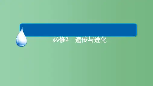 高考生物一轮复习 第7单元 生物的变异、育种和进化阶段性总结课 新人教版必修2
