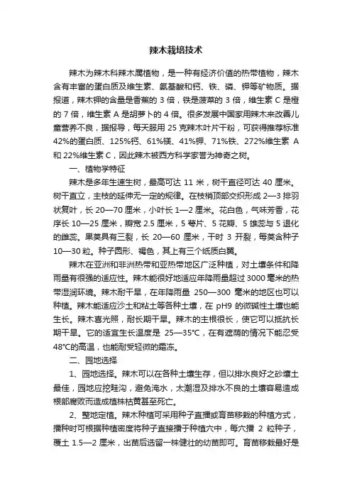 辣木栽培技术