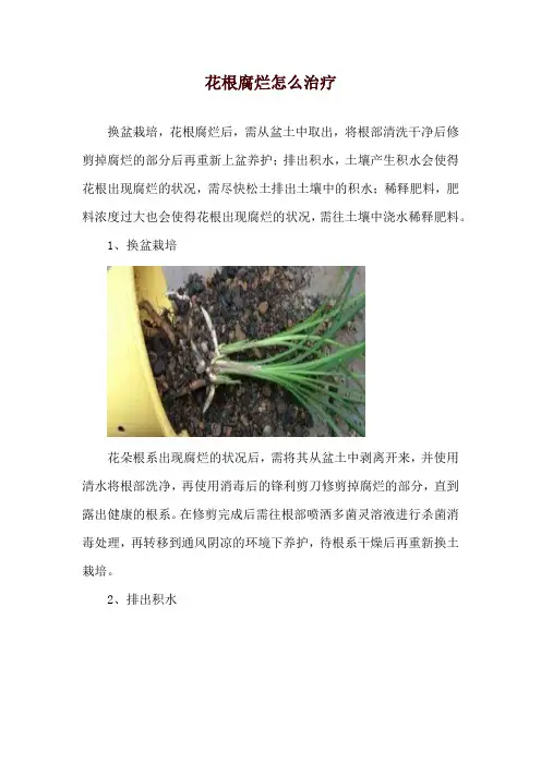 花根腐烂怎么治疗