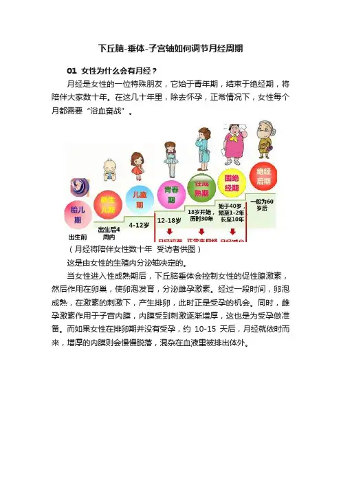 下丘脑-垂体-子宫轴如何调节月经周期