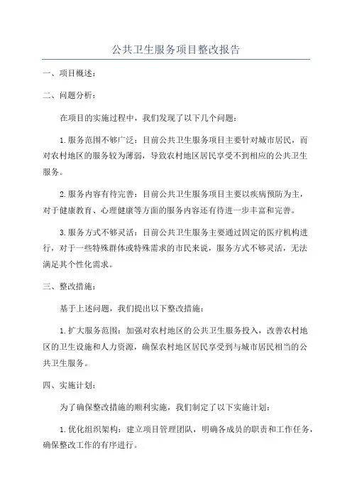 公共卫生服务项目整改报告