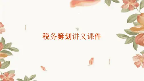 税务筹划讲义课件