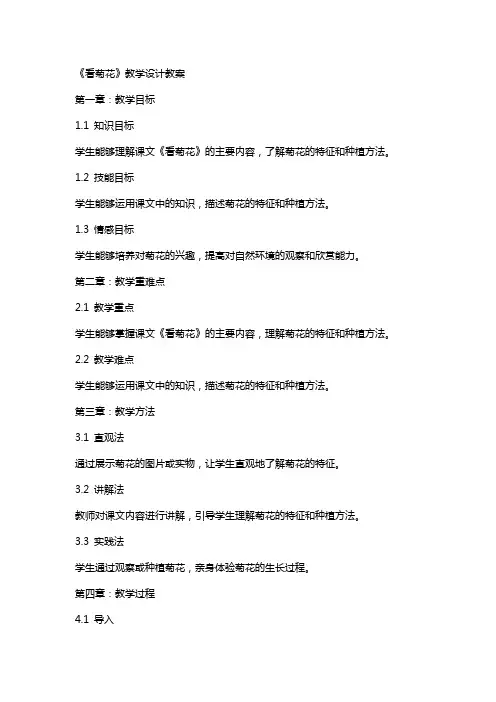 《看菊花》教学设计教案