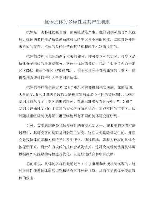 抗体抗体的多样性及其产生机制