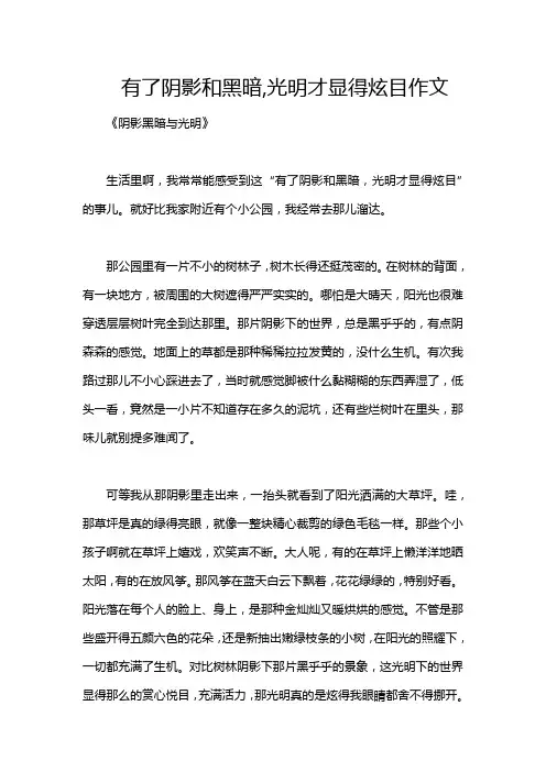 有了阴影和黑暗,光明才显得炫目作文