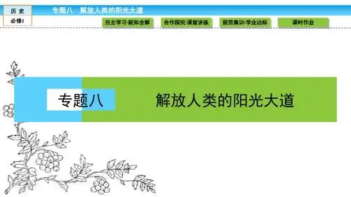 2016-2017学年(人民版)高中历史必修1课件 专题八 解放人类的阳光大道 8.1