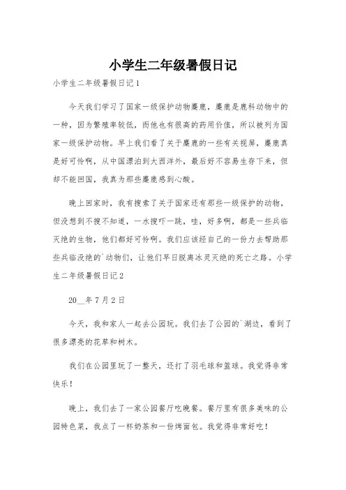 小学生二年级暑假日记