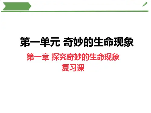 第一单元+奇妙的生命世界(复习课件)-2025学年七年级上册生物同步教学精制课件(济南版2024)
