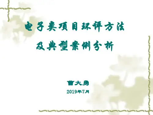 电子类项目环评方法及典型案例分析