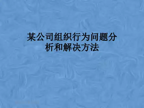 某公司组织行为问题分析和解决方法