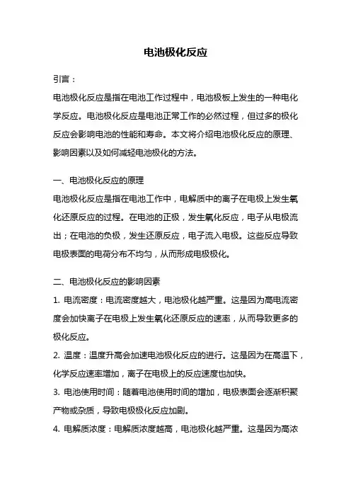 电池极化反应