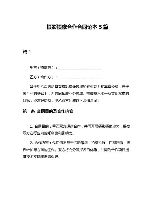 摄影摄像合作合同范本5篇