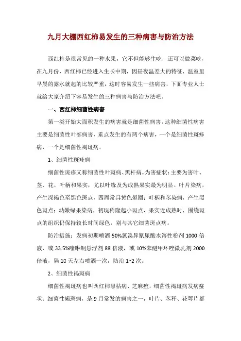 九月大棚西红柿易发生的三种病害与防治方法