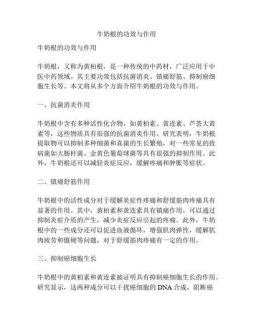牛奶根的功效与作用